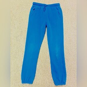 All in motion Blue joggers Sz L(12/14)